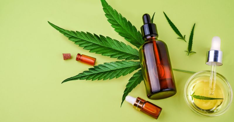 SUS de SP oferecerá acesso gratuito a produtos à base de cannabis